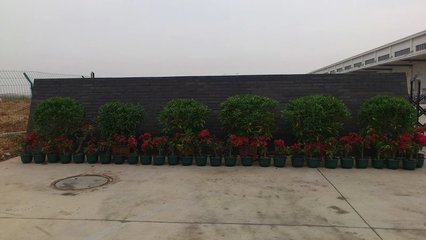 南寧亞馬遜倉(cāng)儲(chǔ)中心綠化工程 構(gòu)建生態(tài)與現(xiàn)代物流的和諧共生