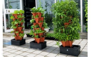 陽(yáng)臺(tái)農(nóng)業(yè)魚菜共生立體栽培箱 家庭農(nóng)業(yè)與景觀工程的綠色革新