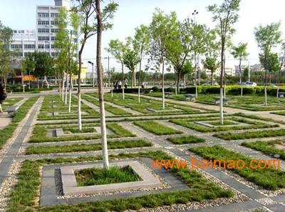 芳源園藝 專業(yè)承接佛山綠化養(yǎng)護(hù)與景觀工程建設(shè)