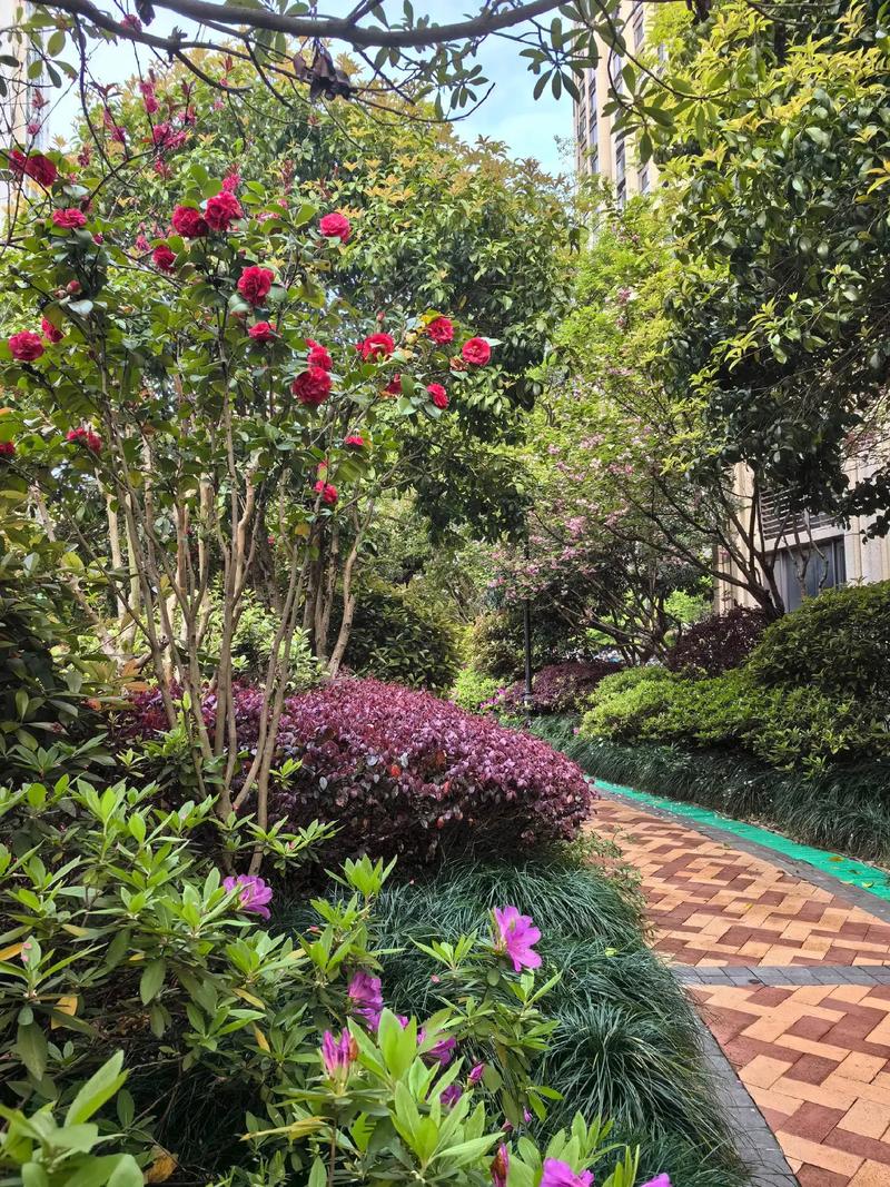 鳥語花香滿園春，為小區(qū)綠化工程點贊