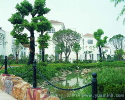 某別墅環(huán)境綠化工程實拍欣賞