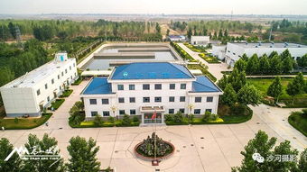 奮進中的河北沙河經濟開發區 以綠為筆，繪就生態發展新畫卷