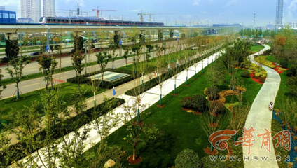 西安歐亞大道變身巨型盆景打卡地，年底將完成全部栽植綠化工程